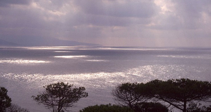 View from the Acantilado y Pinar de Barbate natural park next to Los Caños de Meca - Costa de la Luz, Andalusia