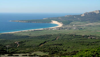 Playa del Palmar, Costa de la Luz