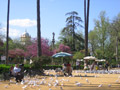Plaza de América