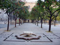 Naranjos (Orange trees) Square, in the Cathedral os Seville.