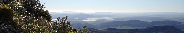 Parco naturale Los Alcornocales, provincia di Cadice - Andalusia, Spagna.