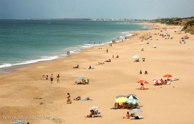In totaal is er 14 km strand bij en rond Conil de la Frontera, aan de Costa de la Luz - Andalusië, Spanje. 