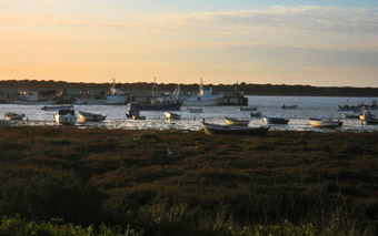 Barchi a Sanlucar de Barrameda, Costa de la Luz