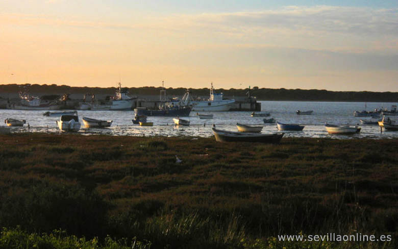 Barchi a Sanlucar de Barrameda, Costa de la Luz.