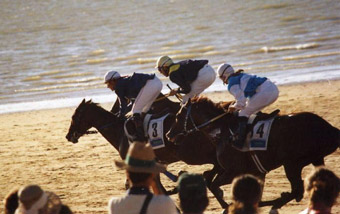 Paardenrennen op het strannd van Sanlucar de Barrameda - Costa de la Luz