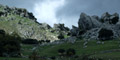 Naturgebiet Sierra de Grazalema, Provinzen Cadiz und Malaga - Andalusien, Spanien.