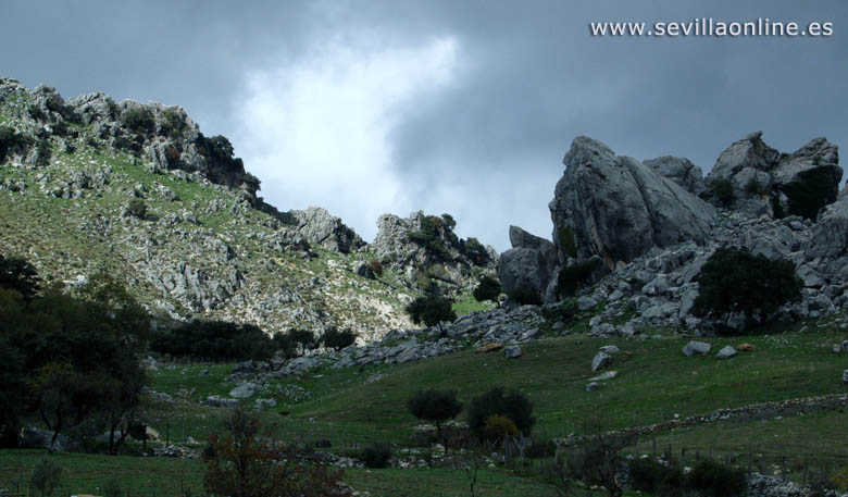 Natuurpark Sierra de Grazalema - provincie Cadiz, Andalusië.