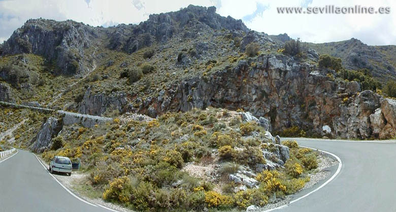 Sierra de Grazalema natural park, province of Cadiz - Andalusia, Spain