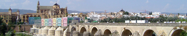 De romeinse brug in Cordoba - Andalusie, Spanje