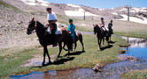 Visita la Sierra Nevada parco naturale a cavallo.