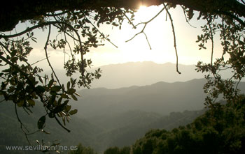 Montes de Malaga, Costa del Sol - Andalusia, Spagna