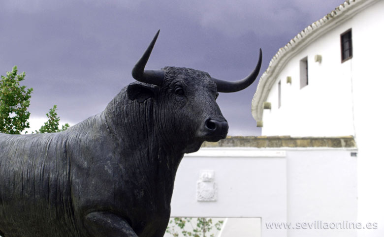 Il toro davanti a la Plaza de Toros de Ronda, una delle più vecchie della Spagna