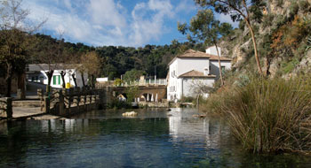 Serranía de Ronda - province of Malaga, Andalusia