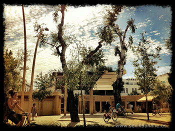 Coffee and relax on the Alameda, Seville