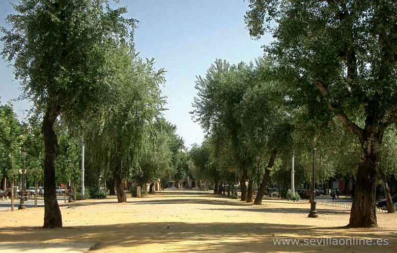 La Alameda de Hércules - Sevilla, España.