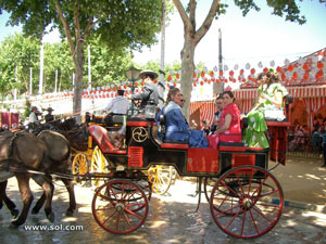 Horses parading on the Feria de Abril de Sevilla