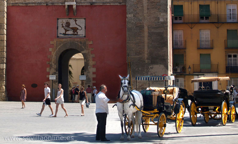 Horses and carriages at the entrance of the Alcazar palace, Seville - Andalusia, Spain.