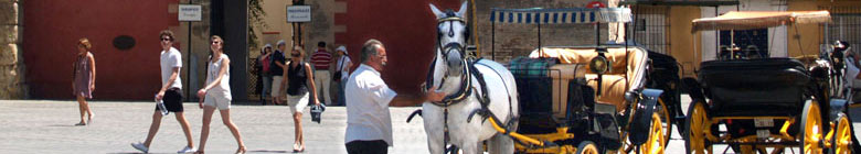 Caballos y carrozas a la entrada del Alczar, Sevilla