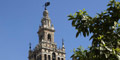 Blick auf der Giraldaturm in Sevilla - Andalusien, Spanien