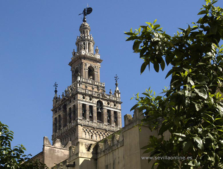 The Giralda tower in Seville - Andalusia, Spain.