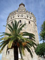 The gold tower, monuments in Seville.